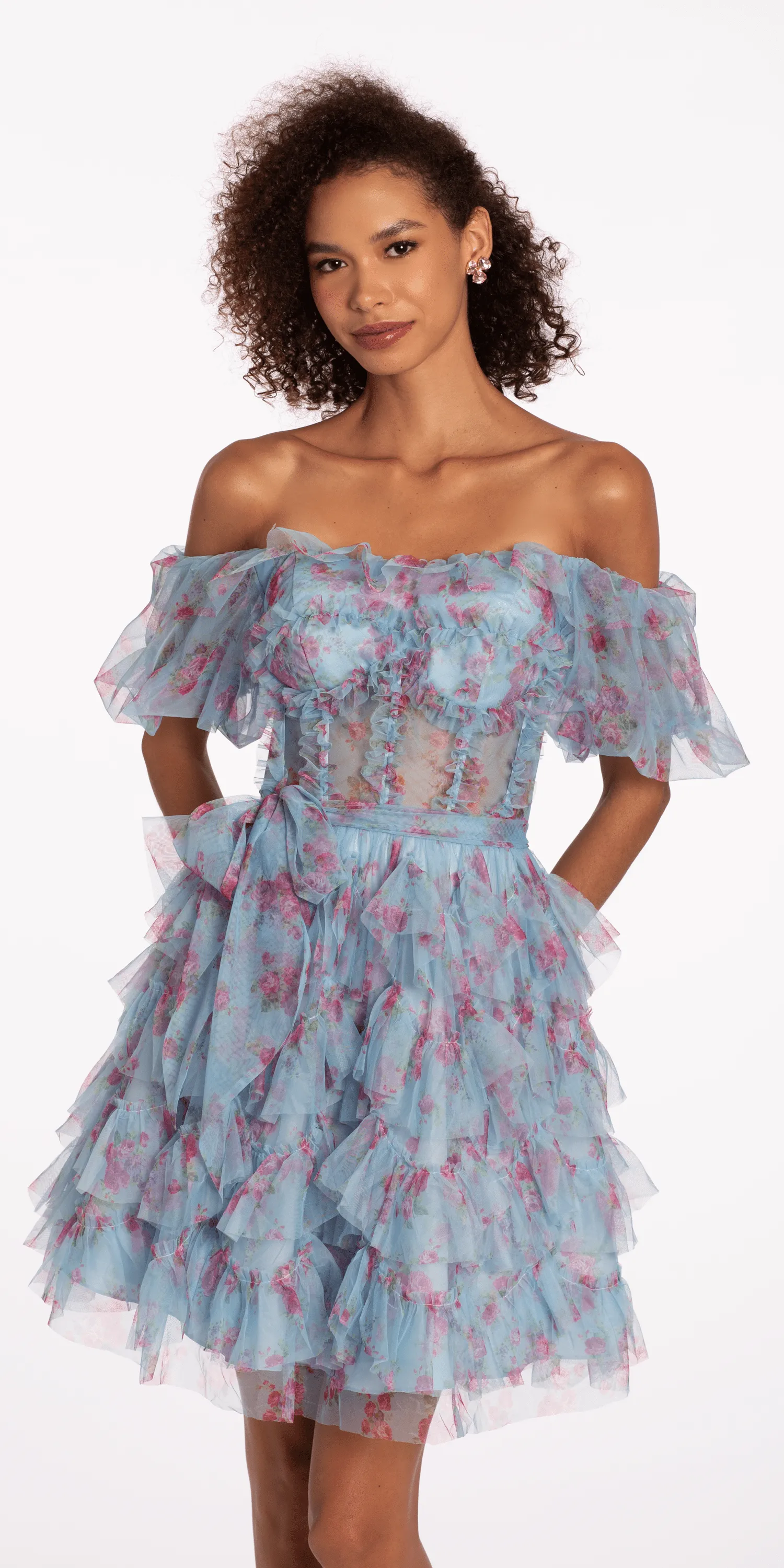 Mesh Print Off the Shoulder Ruffle Fit and Flare Dress