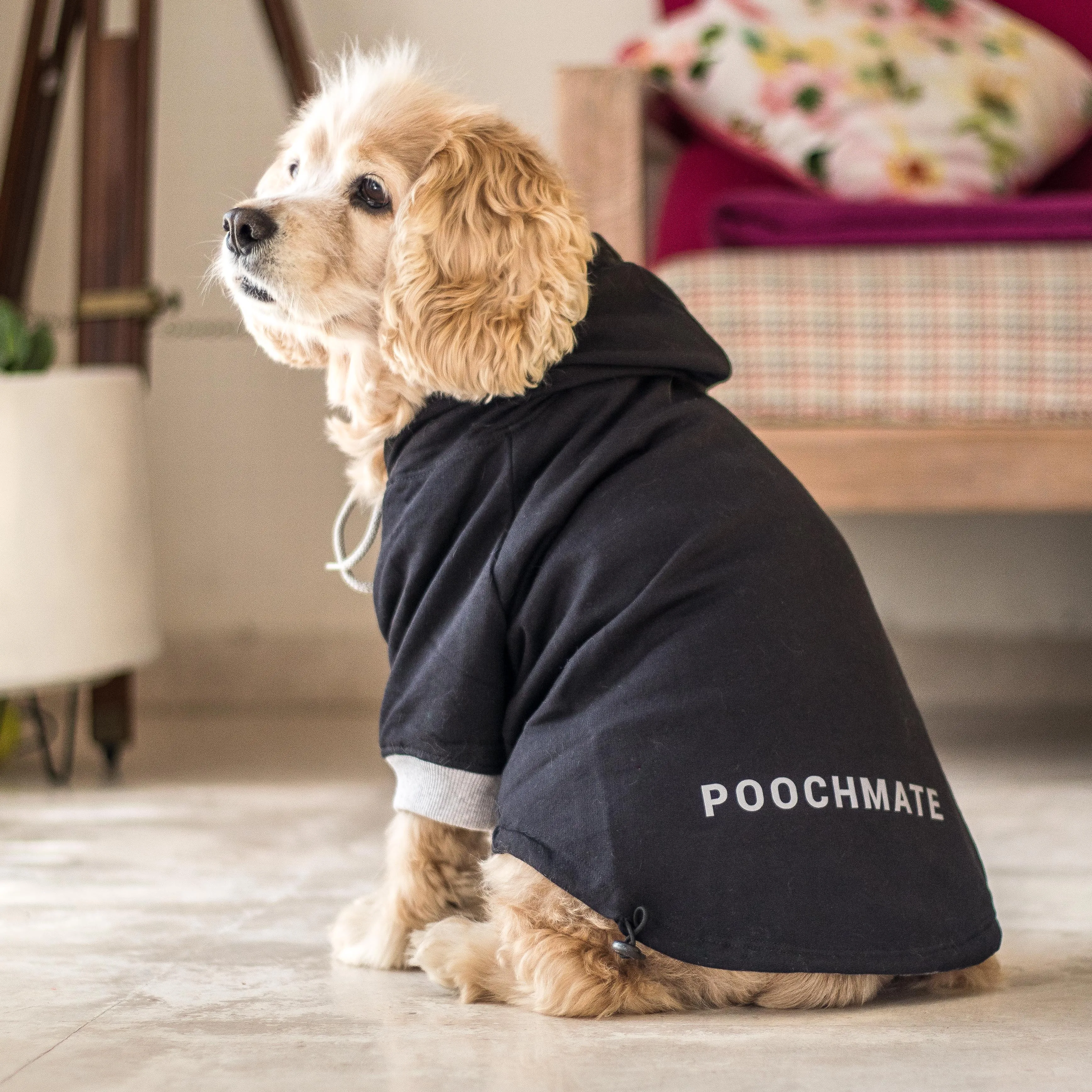 PoochMate Basic Black Dog Sweatshirt