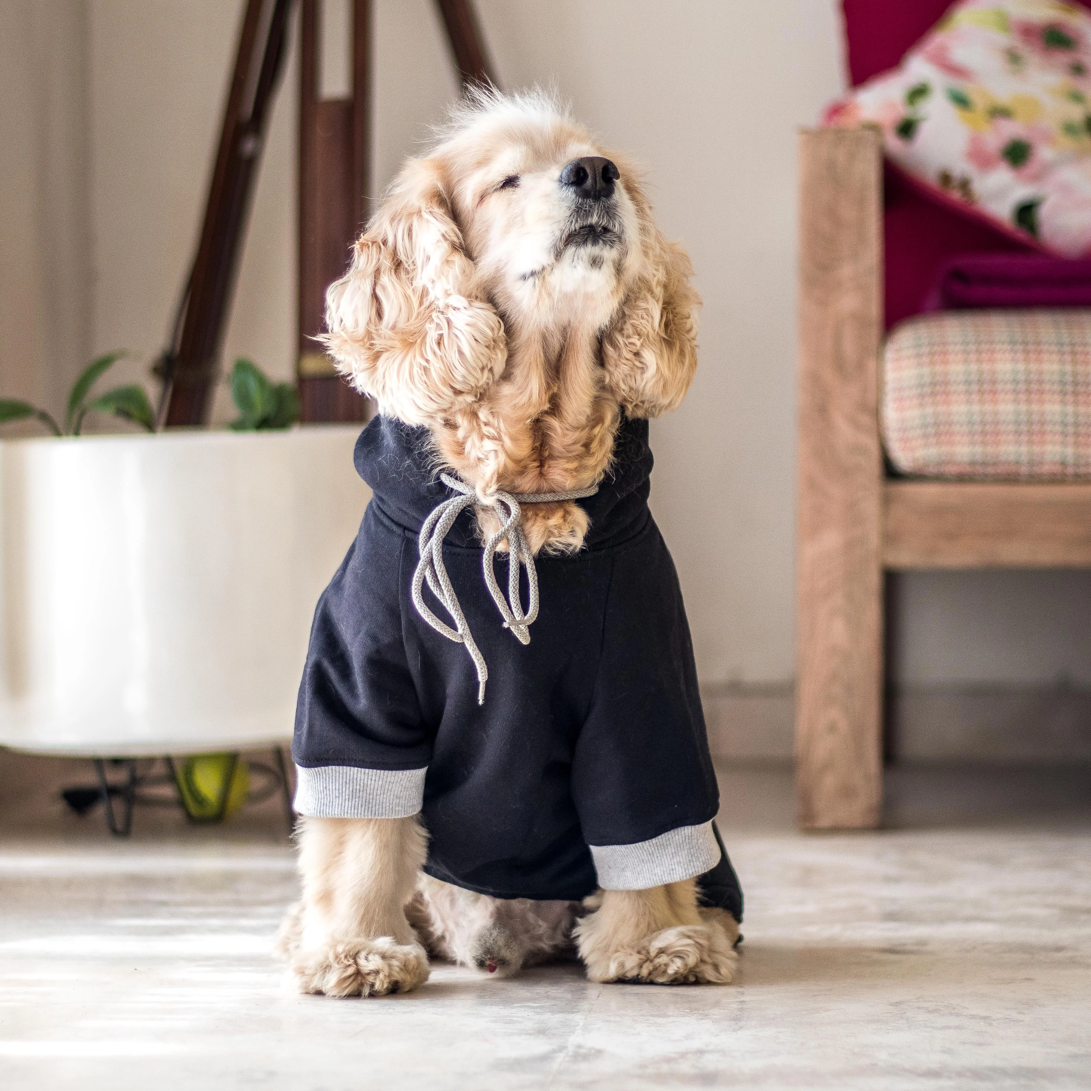 PoochMate Basic Black Dog Sweatshirt